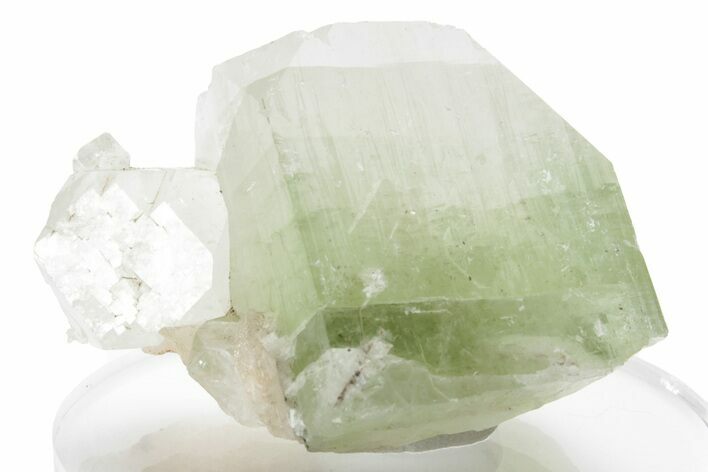 Green Zoned Apophyllite Crystal - India #223941